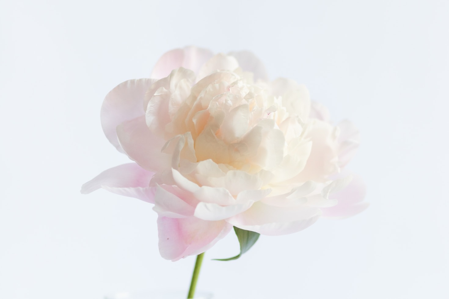 Passione e Creatività: Il Cuore di Annette Floral Wedding Designer